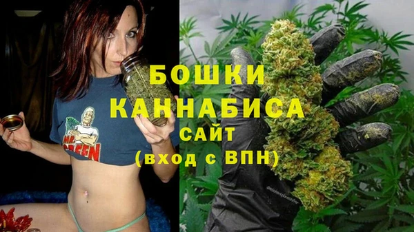 шишки Волосово