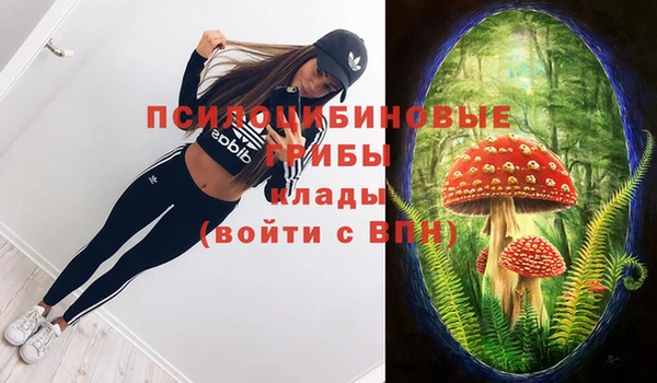 шишки Волосово