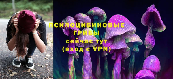 шишки Волосово