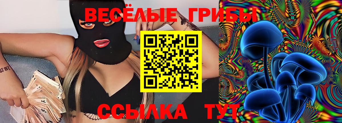 Галлюциногенные грибы Psilocybe Вязьма
