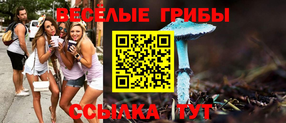 Псилоцибиновые грибы прущие грибы  Вход с VPN  Вязьма 